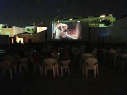 El cine de noche